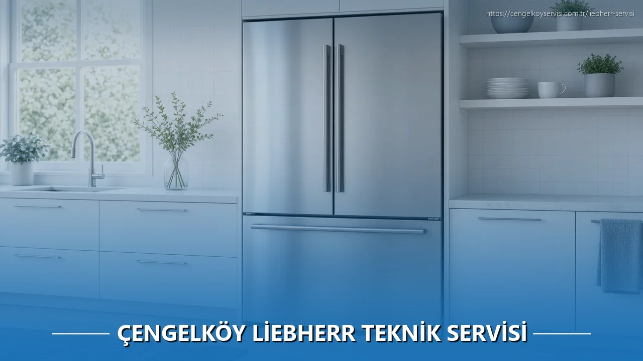 Çengelköy Liebherr Teknik Servisi